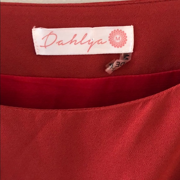 Dahlya Leora Rust Shift dress Stitch Fix size M - Picture 2 of 4